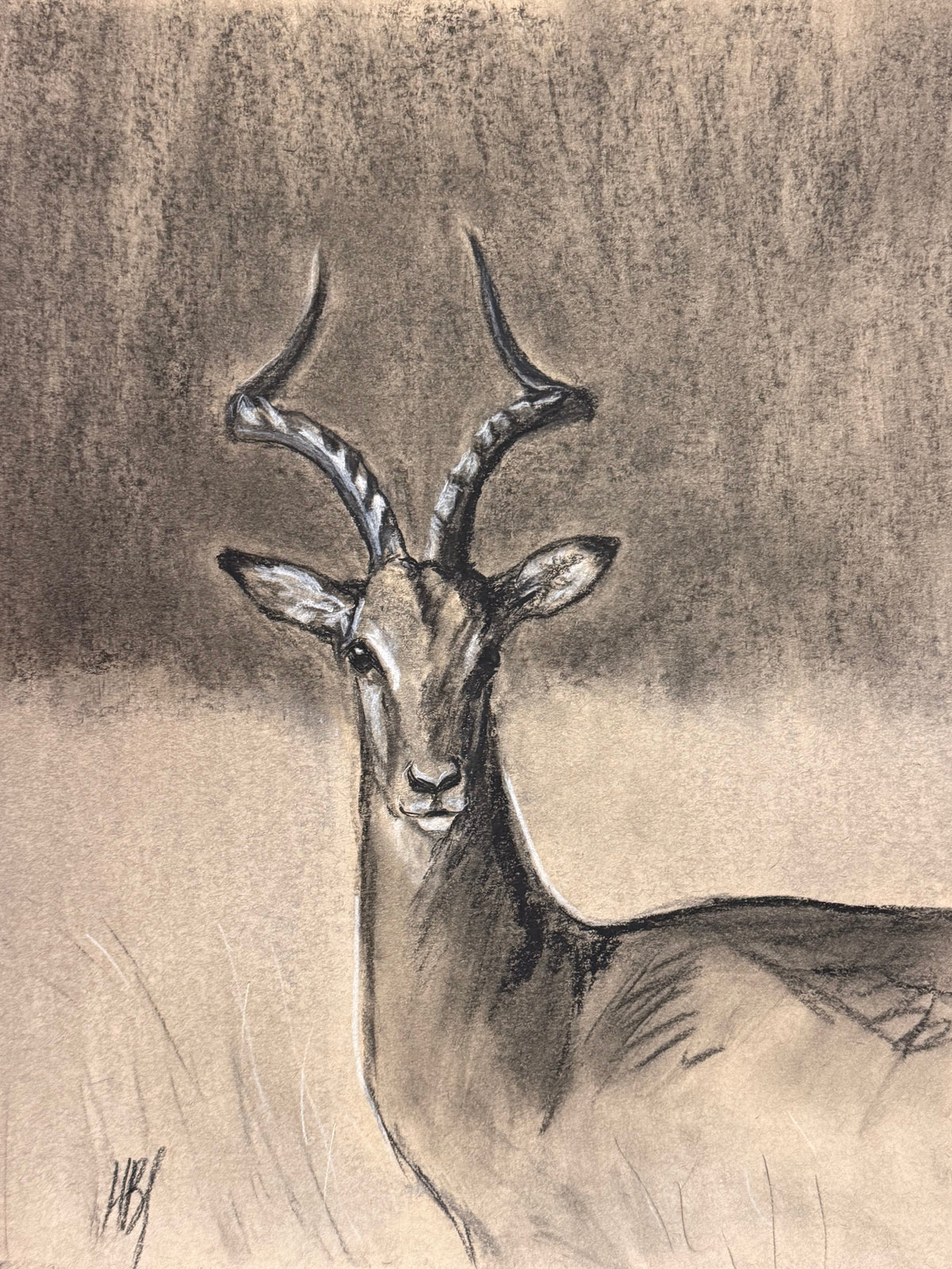 Charcoals