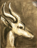 The Gerenuk