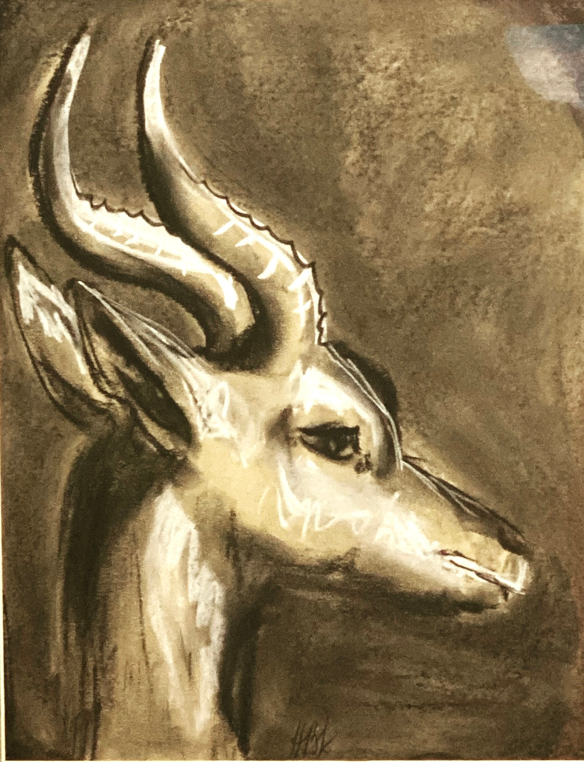 The Gerenuk