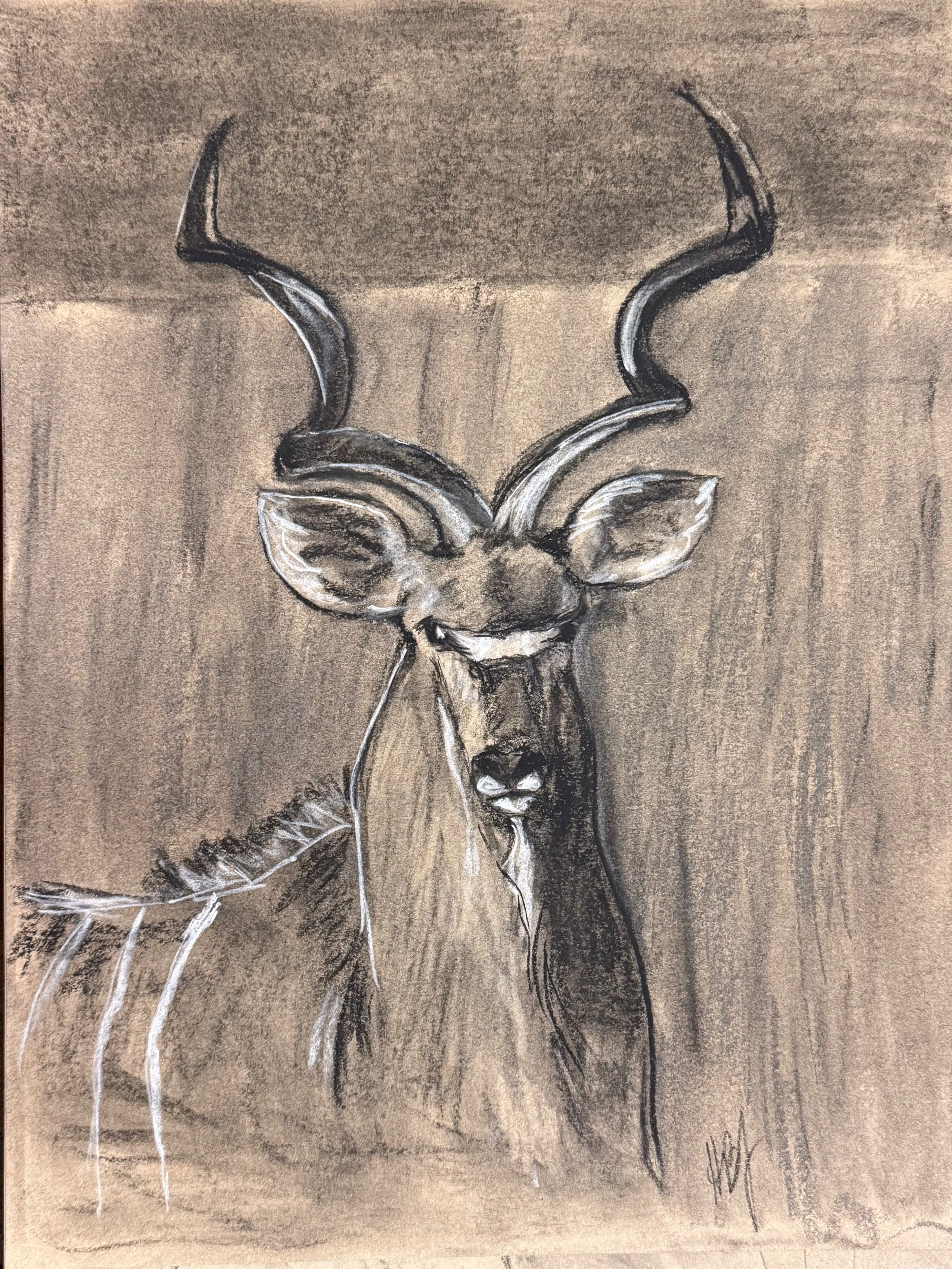 The Kudu