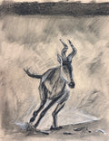 The Hartebeest