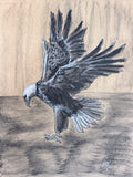 Eagle Catch