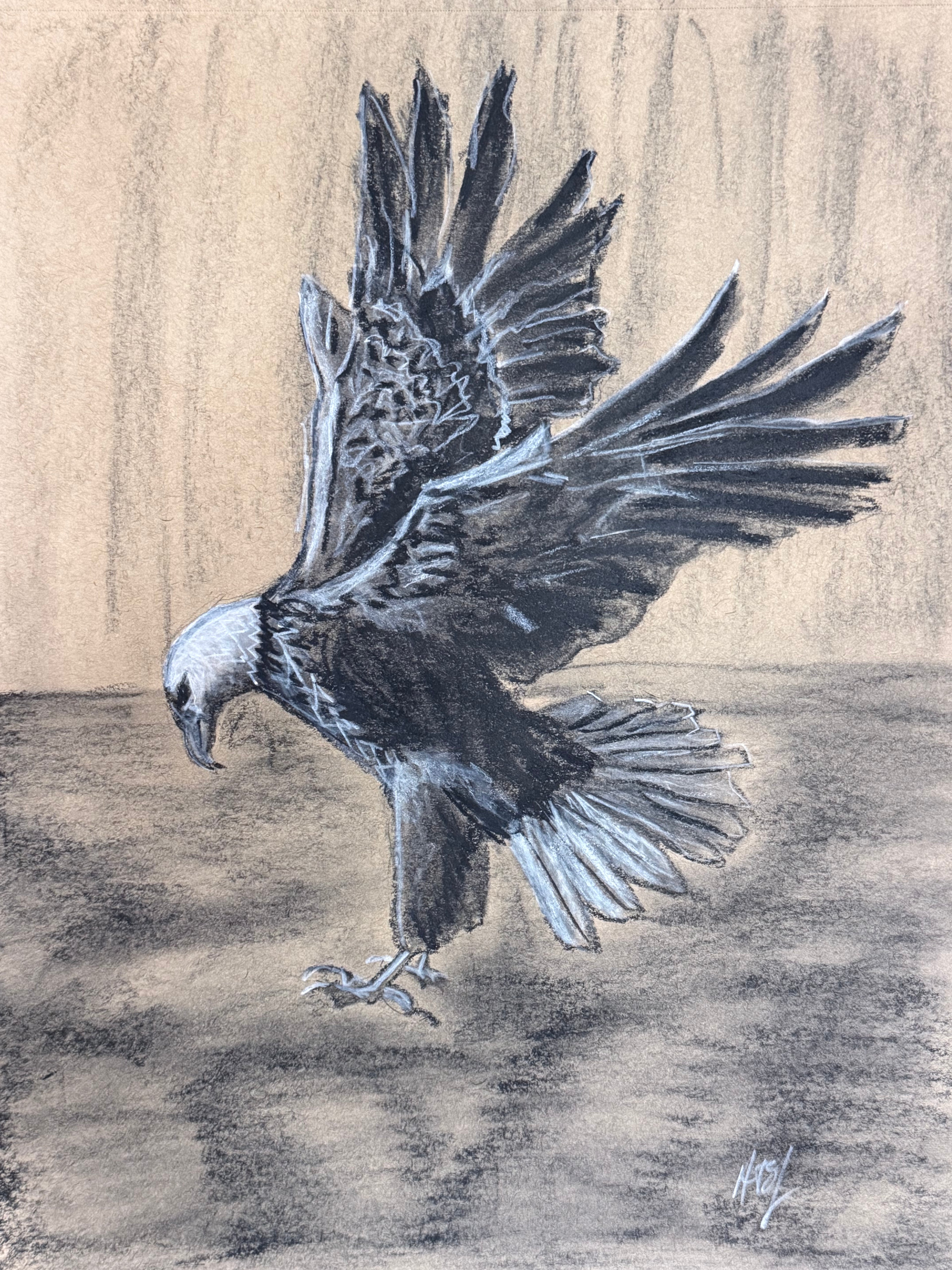 Eagle Catch
