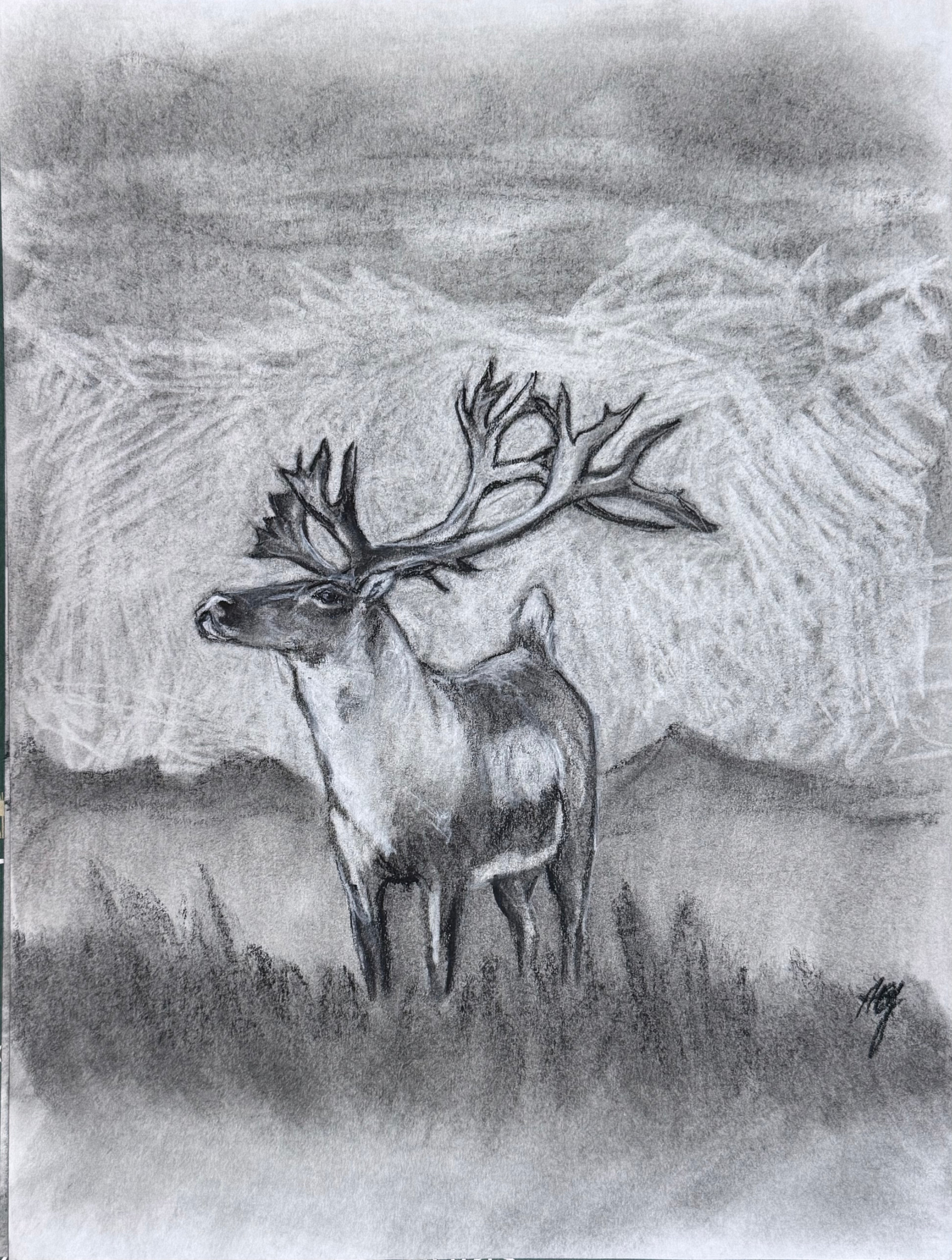 Reindeer