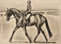 First Dressage Test